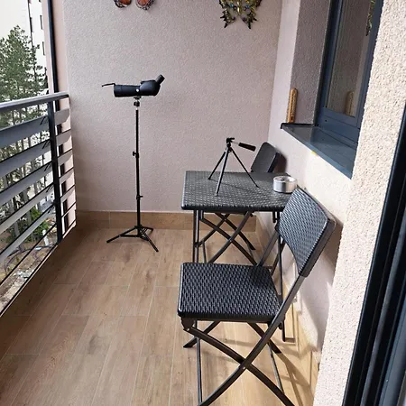 Apartment Jupiter Zlatibor